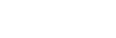 MN-logo-smal-white-trans